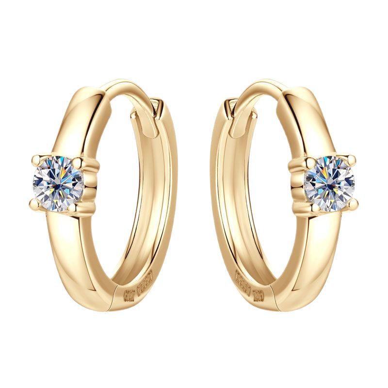 Luxury small hoop earring with brilliant center gem