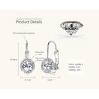Overview image displaying the complete pair of Luckinging Nap Earrings