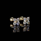 Luckinging Star Moissanite Earrings