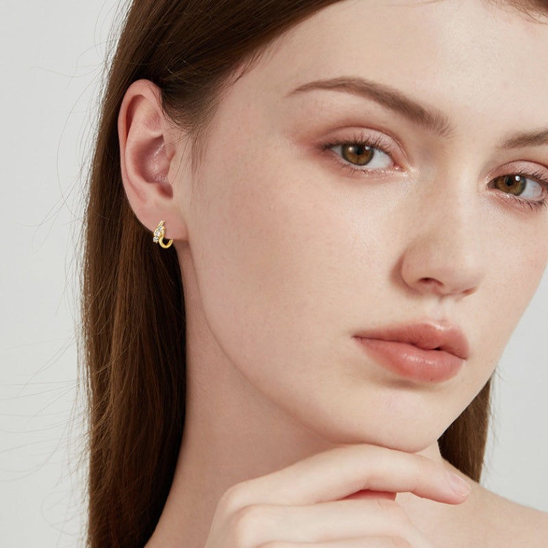 Geometric Moissanite Hoop Earrings -  -  Luckinging