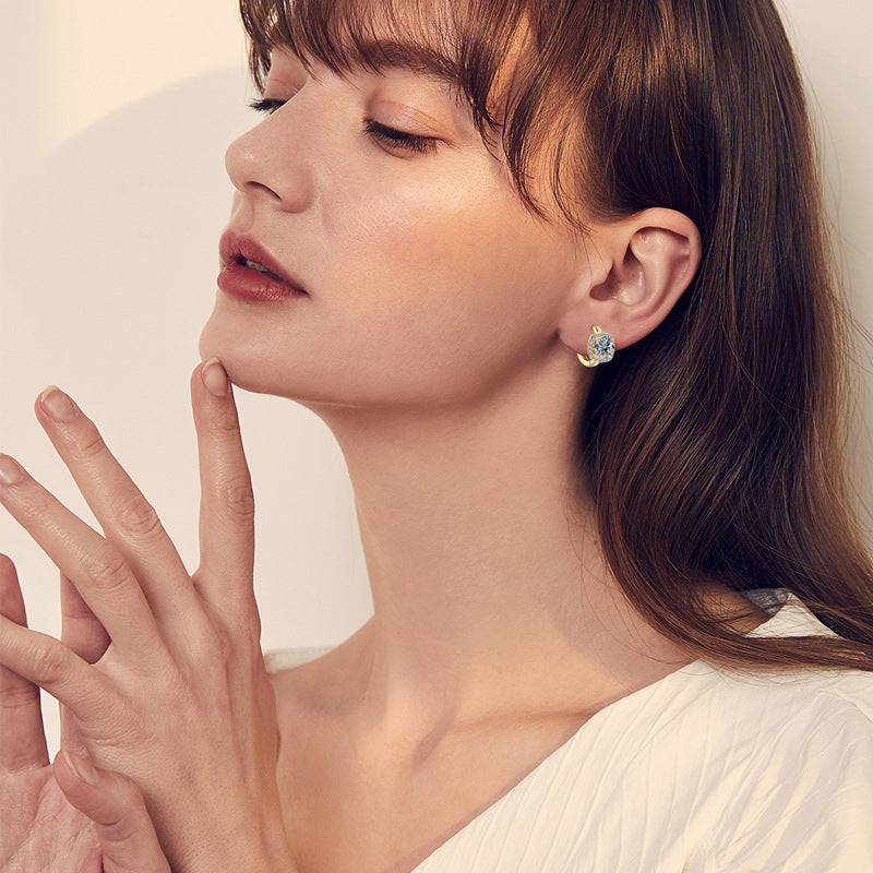  Profile of elegant small hoop earrings